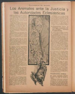 Los animales ante la justicia y las autoridades eclesiásticas