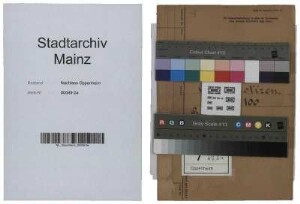 Aktennotizen über Besprechungen mit der Geheimen Staatspolizei, Außendienststelle Mainz