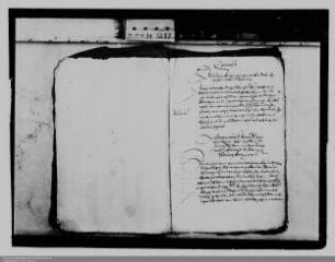 Teilung der Grafschaft Hohenlohe (in Abschrift)