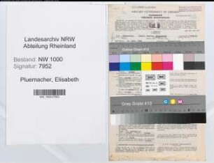 Entnazifizierung Elisabeth Pluemacher, geb. 06.07.1906 (Kaufm.Angest.)
