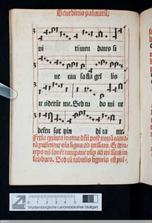 Benedictio palmarum