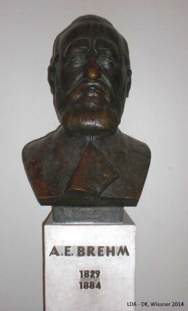 Alfred-Brehm-Büste; Berlin, Lichtenberg