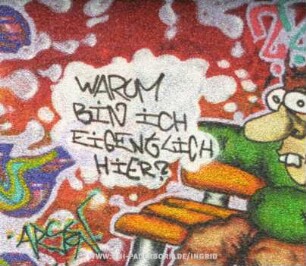 WARUM BiN iCH EiGENtLiCH HiER?