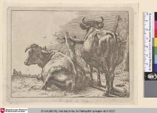 [Zwei Kühe von hinten; Two Cows Seen From Behind]