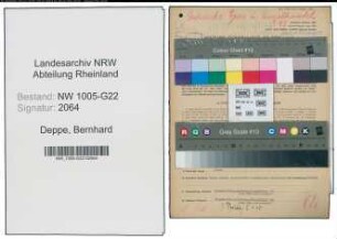 Entnazifizierung Bernhard Deppe , geb. 02.08.1905 (Grosshaendler)