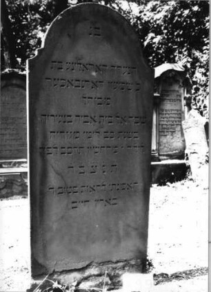 Grabstein 489 (Index: 99629990) Material: Sandstein Zustand: unten abgeblättert Maße HxBxT: 153x56x6 cm Beschreibung: Stele mit eingezogenem Rundbogenabschluß Besonderheit: Zitat Psalm 27, 13: Grabstein 489