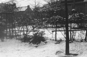 Vorgarten : schneebedeckter Vorgarten in Pennsylvania.