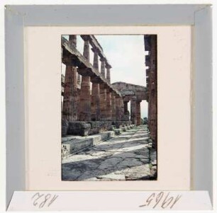 Paestum: Heraion, südlicher Umgang und Pronaos (Foto 1965)