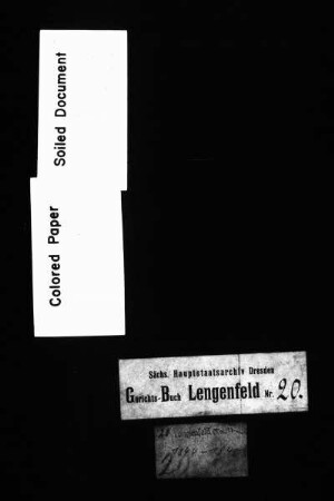 Gerichtshandelsbuch der Stadt Lengenfeld, Bd. 19