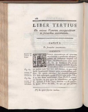Liber Tertius De ratione Venarum excoquendarum in fornacibus concameratis