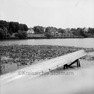 Badeanstalt: am Herrenteich: Seerosen: vorne umgedrehtes Sport-Ruderboot aus Holz, auf Böcken im Wasser: im Hintergrund Ostufer