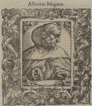 Bildnis des Albertus Magnus