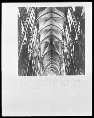 Dom Sankt Peter und Maria (Innenraum) — Gewölbe Innenraum
