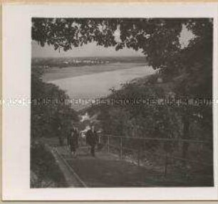 Wien, Blick vom Hang des Leopoldsberges auf das Kahlenbergdörfl, die Donau und Indisches Zentrum