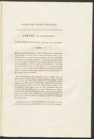 Cerise De Montmorency. Cerasus Officinarum ...