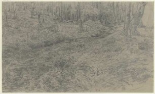 Bächlein im Wald