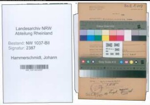 Entnazifizierung Johann Hammerschmidt , geb. 07.10.1895 (Pliesterer)