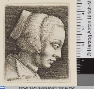 Niederblickender Frauenkopf
