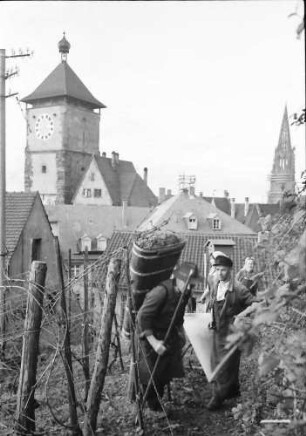 Freiburg: Eimer werden in Bütte geleert, Hintergrund Schwabentor und Münster