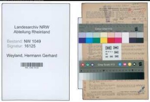 Entnazifizierung Hermann Gerhard Weyland , geb. 25.03.1888 (Chemiker)