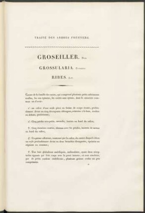 Groseiller. Duh. Grossularia. Tournet. Ribes. Lin.