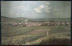 Blick auf Bad Mergentheim an der Tauber