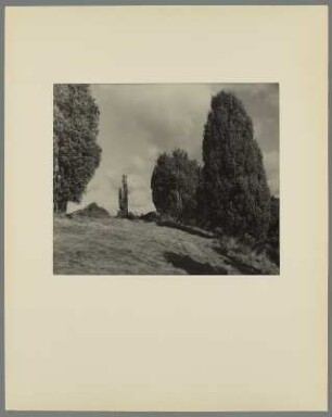 Landschaft mit Laubbäumen