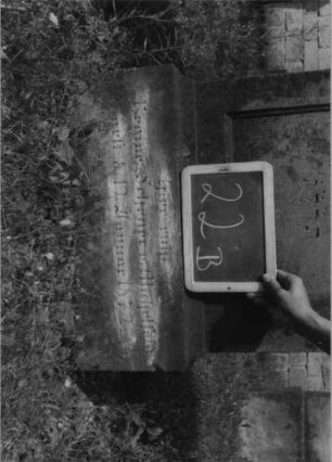 Grabstein 22 (Index: 99801897) Material: Sandstein Zustand: verwittert Maße HxBxT: 153x55x22 cm Beschreibung: Stele, Sockel, Rundbogengiebel mit Eckakroteren, eingetieftes Schriftfeld mit Rundbogen Symbolik: Eichblätter, Blätterornamentik auf dem Rundbogen: Grabstein 22B