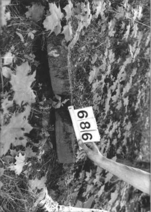Grabstein 686