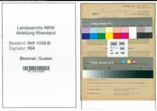 Entnazifizierung Gustav Bloemer , geb. 18.05.1908 (Ingenieur)