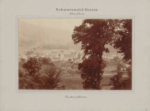 Ansicht von Schönau im Schwarzwald