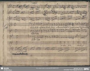 Tuba resonans sancti spiritus