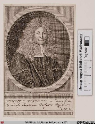 Bildnis Philips Verheyen