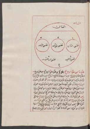 Illustration: f. 131r-131v