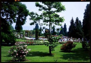 Insel Mainau: Rosengarten, Gesamtansicht mit See