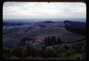 Blick von Schloss Staufenberg bei Durbach
