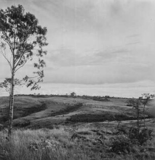 Hügellandschaft : Blick über eine Hochebene in der Kagera Region