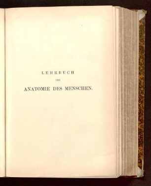 2: Lehrbuch der Anatomie des Menschen