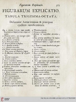 Figurarum explicatio: Tabula trigesima-octava