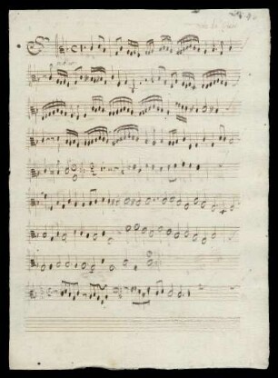 Viola da Gamba