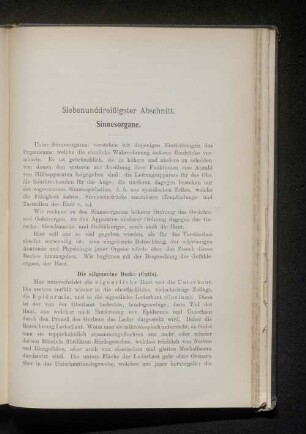 Siebenunddreißigster Abschnitt. Sinnesorgane.