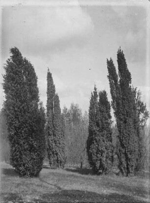 Unbekannter Ort. Landschaft