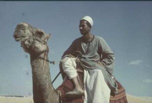 Reisefotos Ägypten. Kamelreiter