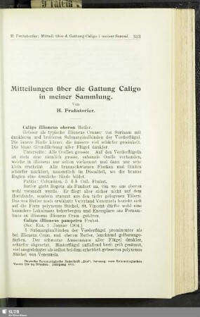 Mitteilungen über die Gattung Caligo in meiner Sammlung