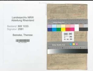 Entnazifizierung Therese Beineke , geb. 06.05.1905 (Kaufm.Angest.)