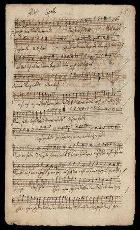 Altus Capella