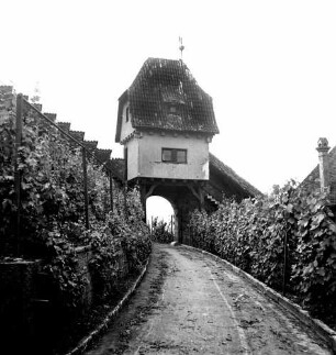 Beilstein