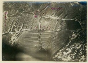 Foto einer Waldecke nordwestlich von Largitzen (Luftbild)