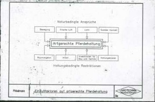 Einflußfaktoren auf artgerechte Pferdehaltung