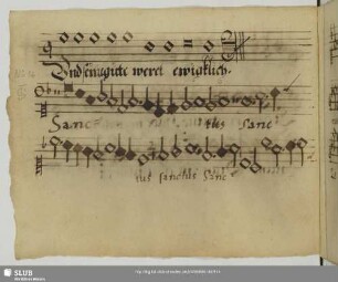 [Stoltzer, Thomas:] Sanctus